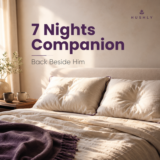 7 Nights Companion: Back Beside Him